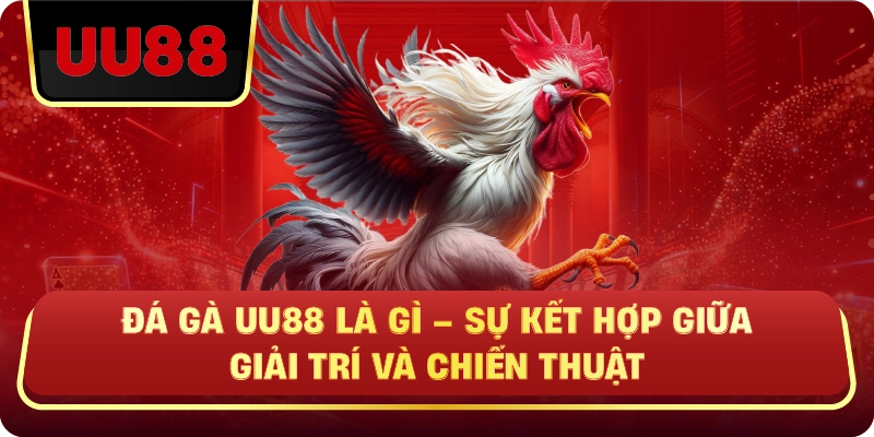 Đá Gà Uu88 Là Gì – Sự Kết Hợp Giữa Giải Trí Và Chiến Thuật